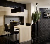 кухня с гостиной