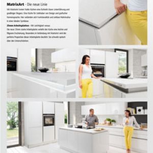 Презентация домашней выставки 2013