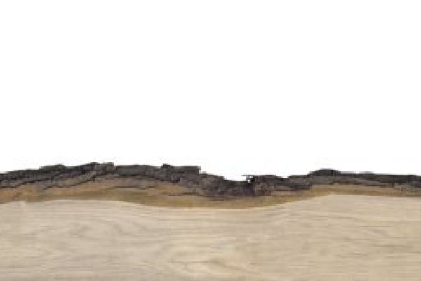 NK12933 Nischenverkleidung Baumstamm