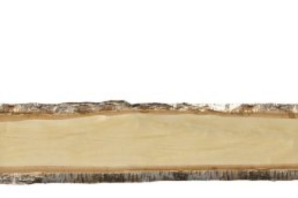 NK12935 Nischenverkleidung Birkenstamm