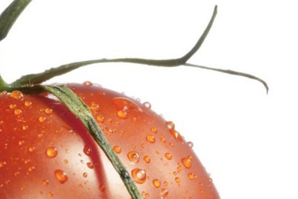 NK16633 Glasnische Motiv  Tomato