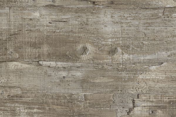 NK16901 T23   Treibholz