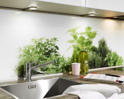 NK17797 Alpha Lack 55A   ArcticweiSZ Hochglanz