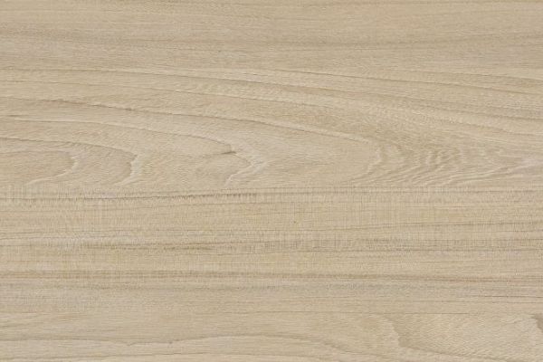 NK181 U10   Provence Ulme