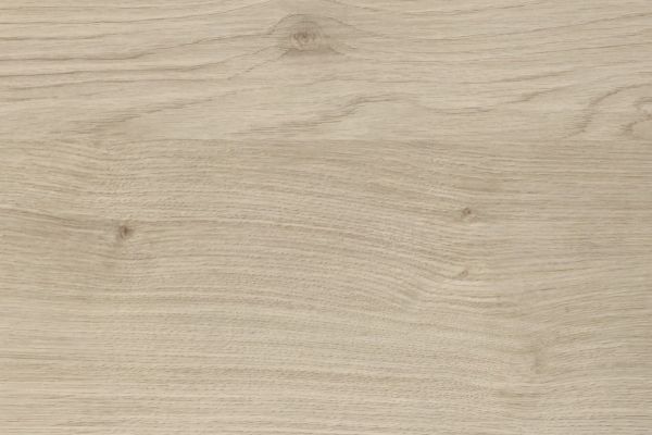 NK18497 E27   Asteiche Natur