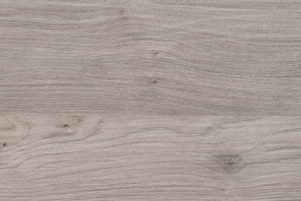 NK18499 E29   Asteiche Platin