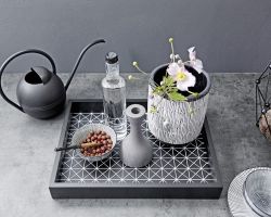 NK18689 Artwood 22P   Asteiche Platin   Feel 968   Sahara