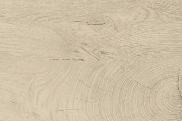 NK20211 E31   Hirnholz Asteiche