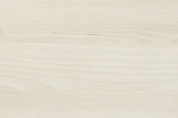 NK20299 B21   Kiruna Birke