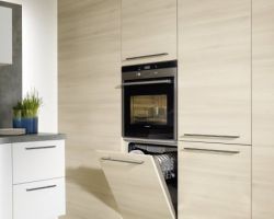 NK2052 Manhattan 49S   Savannen Akazie