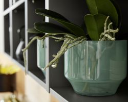 NK25295 Plus   Quarzgrau   Manhattan   Steineiche