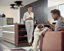 NK25312 Nova Lack   Platingrau Hochglanz