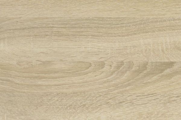 NK2691 E 24   Nebraska Oak saegerau