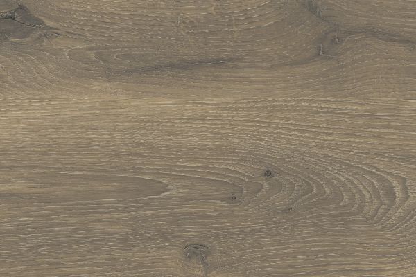 NK27654 E40   Castell Eiche