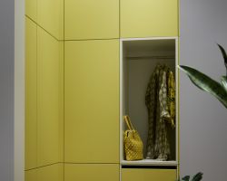 NK27930 Soft Lack   Ginster softmatt