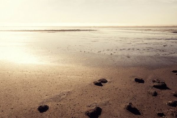 NK3748 Glasnische Motiv  Beach