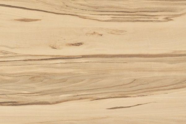 NK72 A15   Kanadischer Apfel