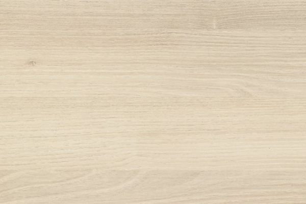 NK73 A16   Savannen Akazie