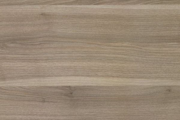 NK96 E13   Grey Canyon Oak