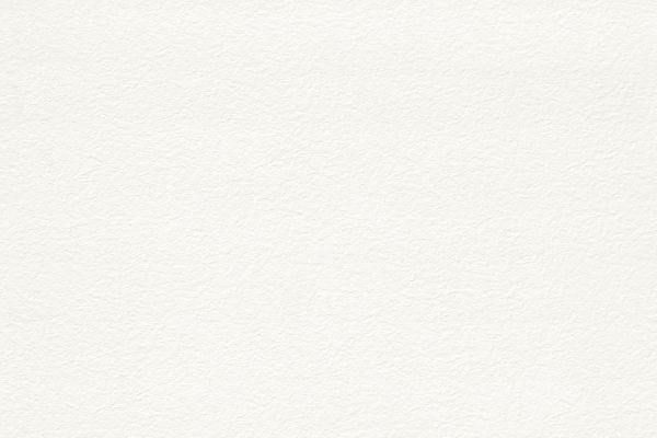 U22   Premiumweiss PRO